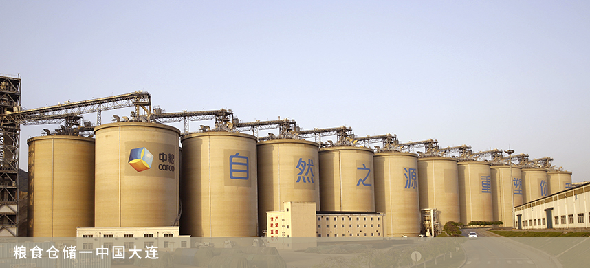 ������(�й�)��վ-AG�콢��