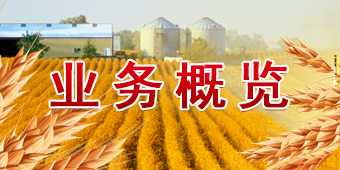 ������(�й�)��վ-AG�콢��