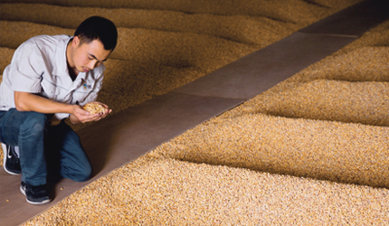 ������(�й�)��վ-AG�콢��