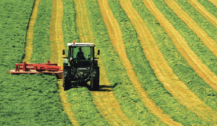 ������(�й�)��վ-AG�콢��