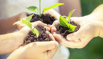 ������(�й�)��վ-AG�콢��