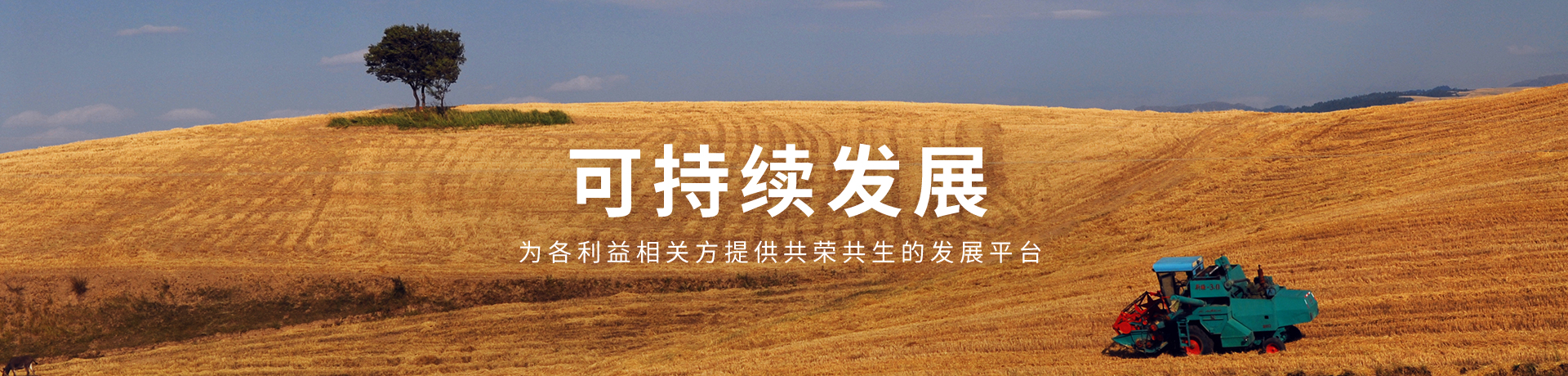 ������(�й�)��վ-AG�콢��