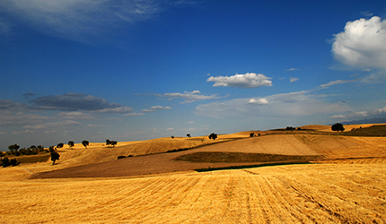 ������(�й�)��վ-AG�콢��