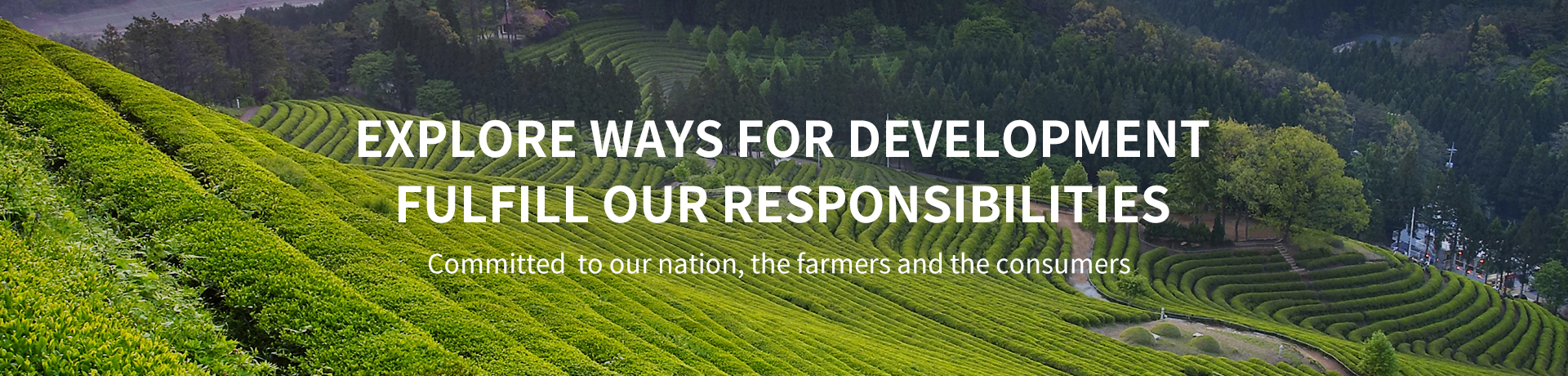 ������(�й�)��վ-AG�콢��