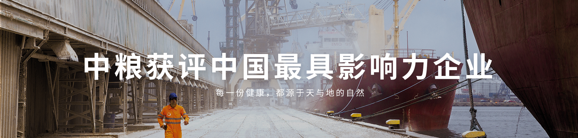 ������(�й�)��վ-AG�콢��