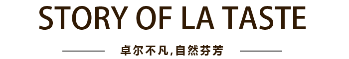贝斯特 - 全球最奢华的游戏平台
