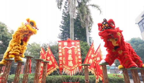 龙腾狮跃，共铸鲜丽未来！